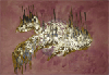 120 x 80